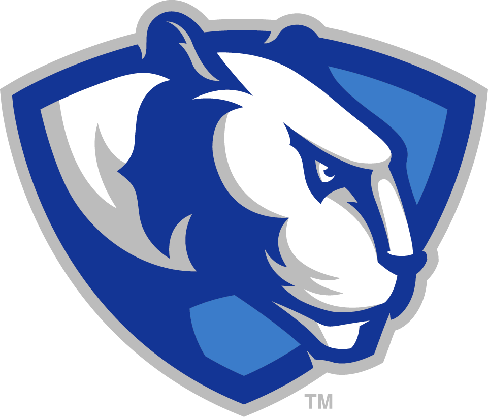 Eastern Illinois Panthers 2015-Pres Partial Logo DIY iron on transfer (heat transfer)
